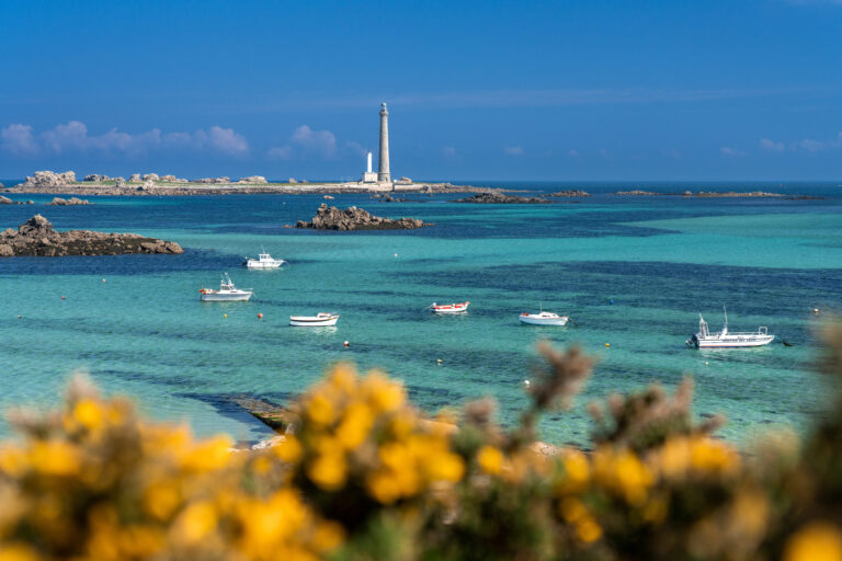 2022_0630_Bretagne_Finistere_Plouguerneau_Earth_DSC05281