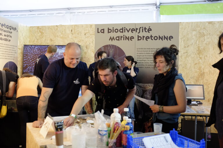 Comprendre la biodiversité marine bretonne